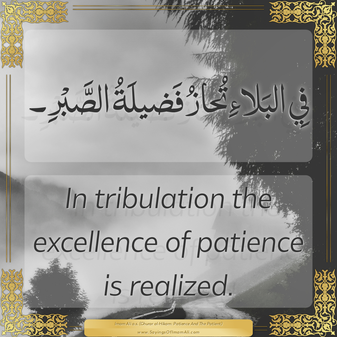 In tribulation the excellence of patience is realized.